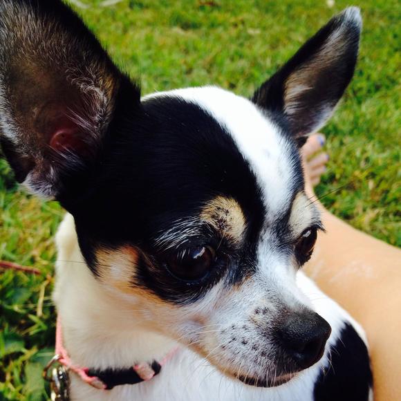 Meet your Posher, Hannah - Picture 1 of 1